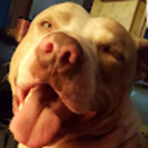 Meet your Posher, Brandy